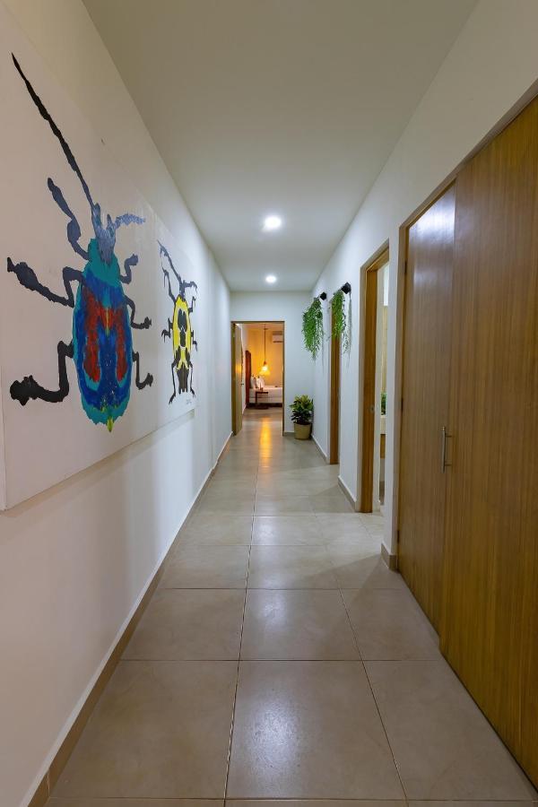 Appartement Elementus Tulum Extérieur photo